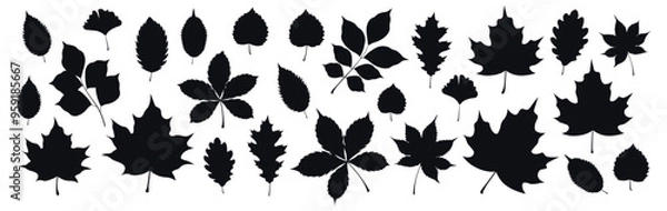 Obraz Set of silhouettes of autumn leaves in a cartoon style. Vector illustration of black silhouettes of autumn leaves: maple, oak, ginkgo, birch, chestnut, walnut, twigs isolated on a white background.