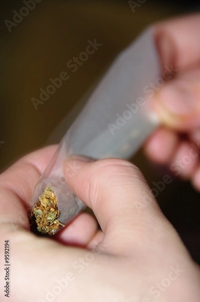 Obraz hanf joint spliff