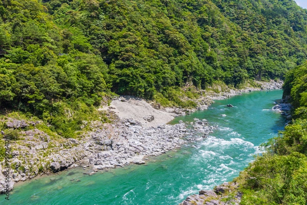 Fototapeta 日本の風景・夏　徳島県三好市　大歩危峡