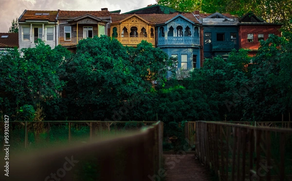Obraz Colorful Houses in a beautiful garden