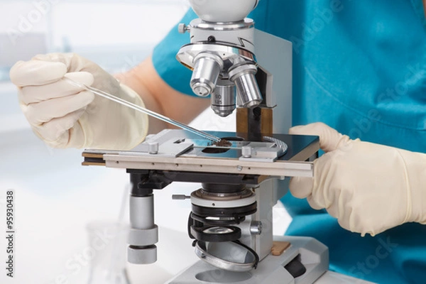 Obraz Working with a microscope