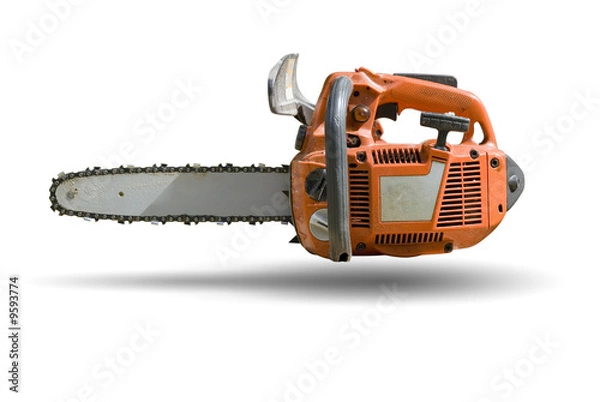 Obraz Small Professional Chain Saw