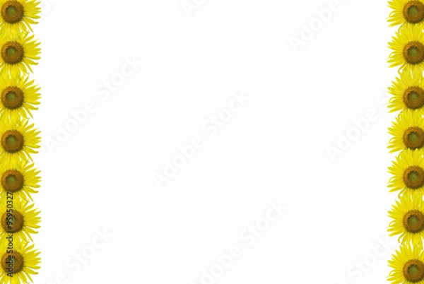 Obraz Sunflower Frame