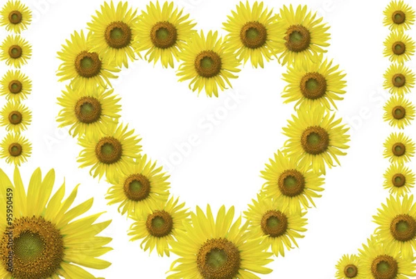 Obraz sunflower frame_set2