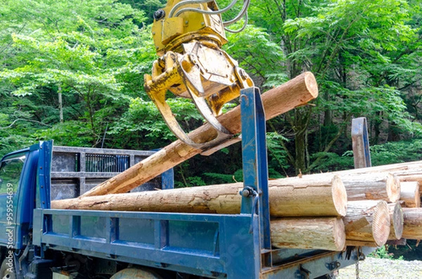 Fototapeta 木材運搬用トラックに積載されるバイオマス用燃料用の木材