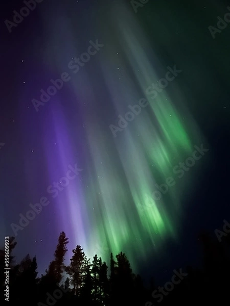 Obraz aurora and stars