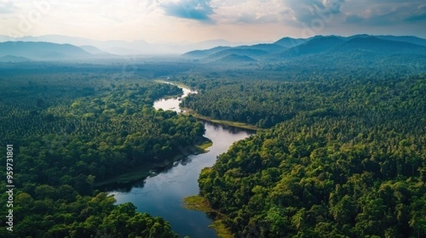 Fototapeta Top view of the lush countryside surrounding the Cardamom Mountains, with dense jungles and flowing rivers.