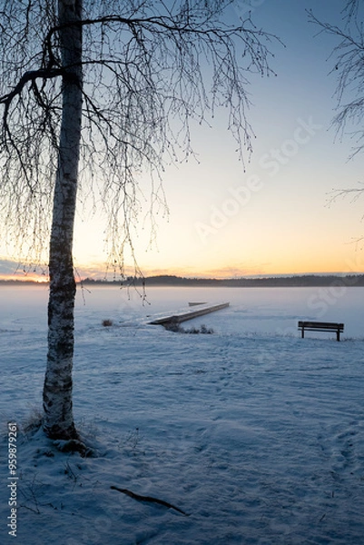 Obraz Old Pier And A Bench Behind A Birch Tree