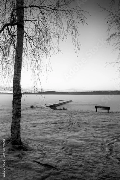 Obraz Old Pier And A Bench Behind A Birch Tree