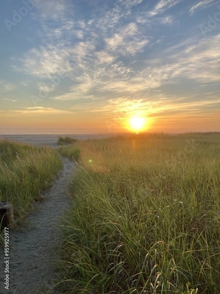 Obraz Copalis Beach, Washington 
