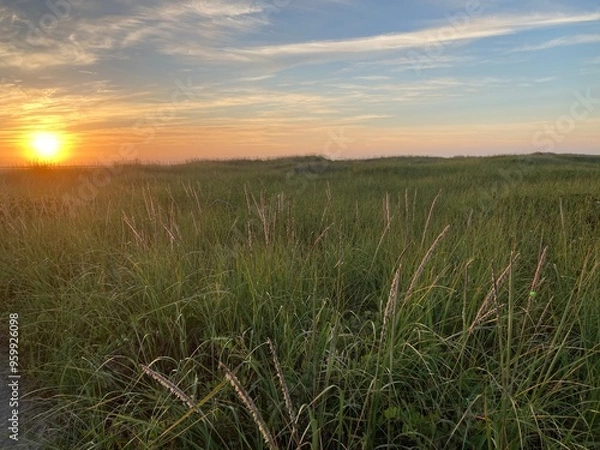 Obraz Copalis Beach, Washington 