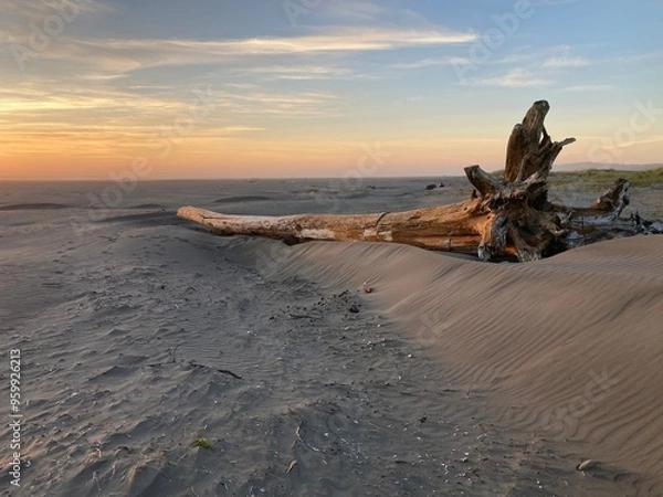 Obraz Copalis Beach, Washington 