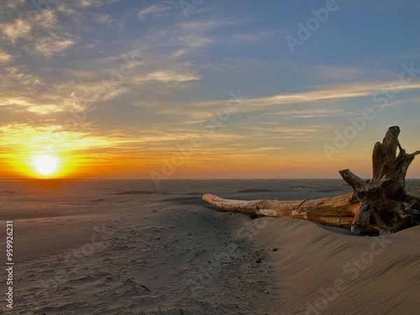 Obraz Copalis Beach, Washington 