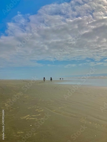 Obraz Copalis Beach, Washington