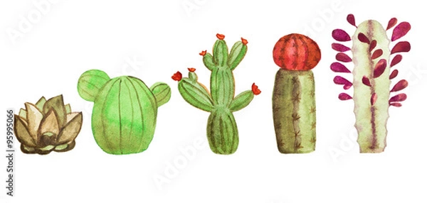 Obraz Watercolor cactus set