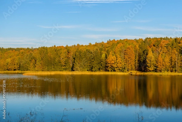 Obraz Autumn Landscape Background