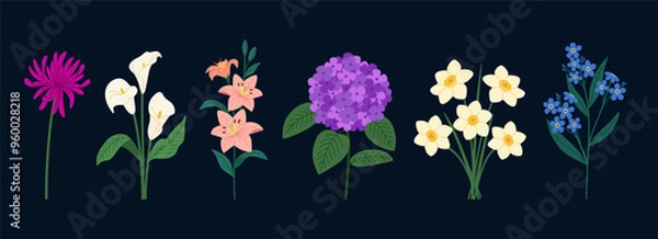 Obraz Set of summer flowers. Blossomed aster, daffodils, lilly, forget me not, calla, hydrangea. Hand drawn vector illustration isolated on black background, modern flat cartoon style.