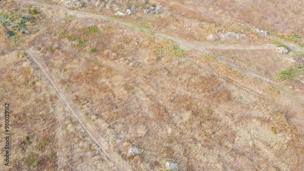Obraz Small paths in the steppe in summer.