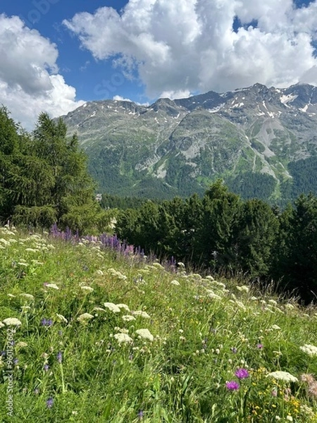 Fototapeta Schweizer Berge