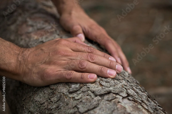 Fototapeta Natur Hände