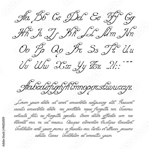 Obraz Handwritten calligraphic alphabet
