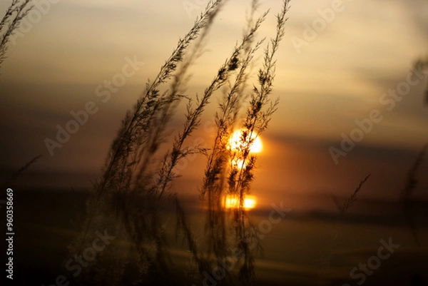 Obraz sunset over the sea