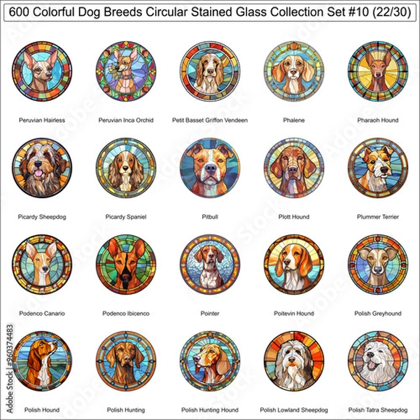 Fototapeta Colorful Dog Breeds Circular Stained Glass Dogs Bundle Collection Set 10 of 600 Dog Faces Isolated Part 22