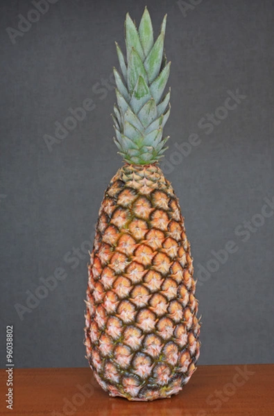 Fototapeta Ananas Long