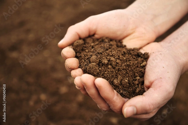 Obraz Handful of Rich Brown Soil