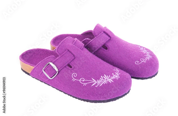 Obraz Home slippers. Isolated on white background