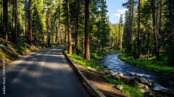 Fototapeta Scenic drive through pine forest with a river running parallel, natureâ€™s harmony