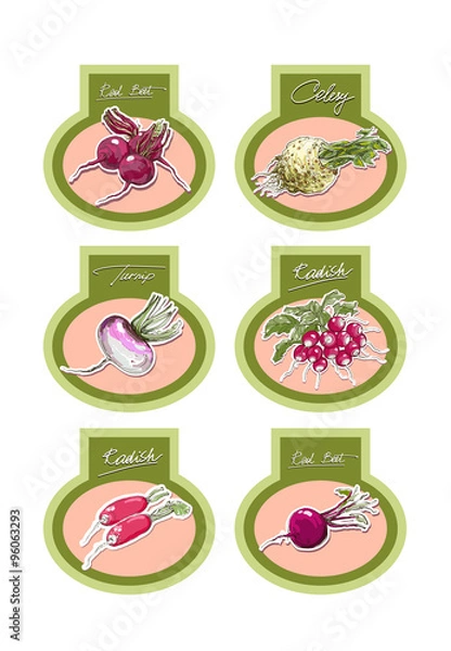 Fototapeta Set of vector labels with vegetables. Vector.