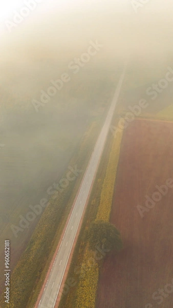 Obraz road in the countryside