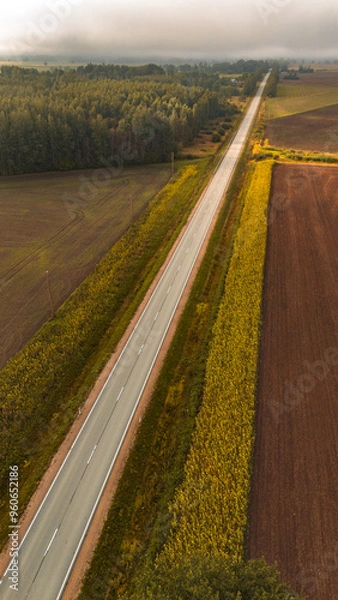 Obraz road in the countryside