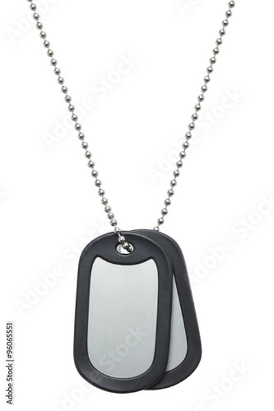 Obraz Hanging Dog Tags