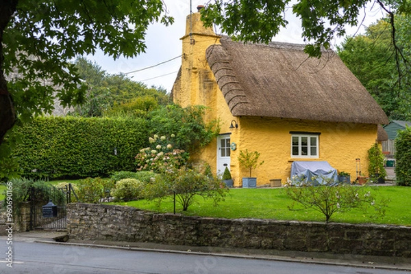 Obraz thatched cottage