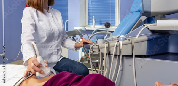 Obraz The doctor performs an ultrasound diagnosis of the abdominal cavity of a pregnant girl at an early stage of pregnancy.