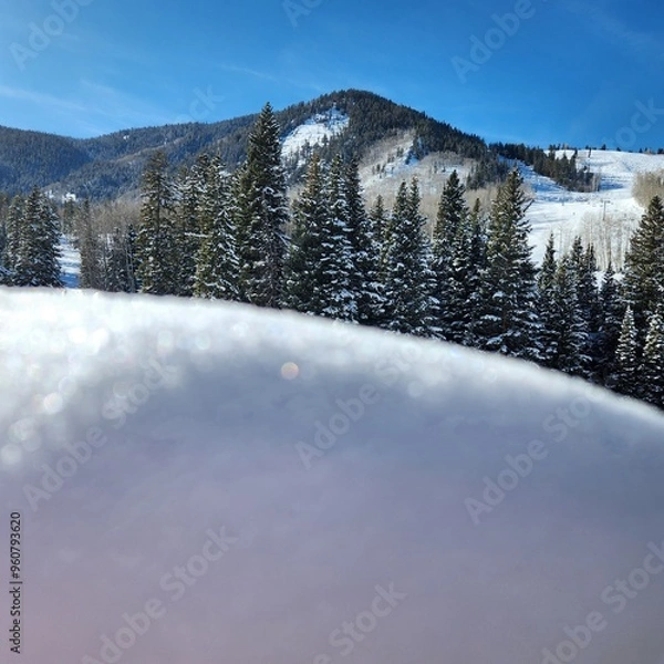 Obraz snow covered trees