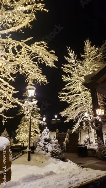 Obraz christmas tree in the park