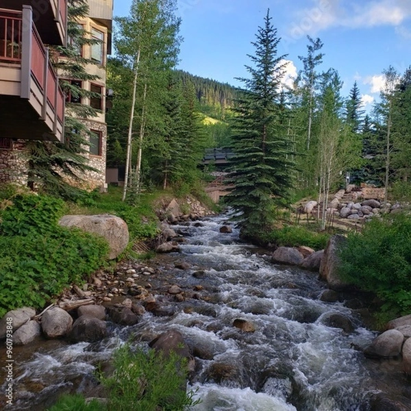 Obraz river in the mountains