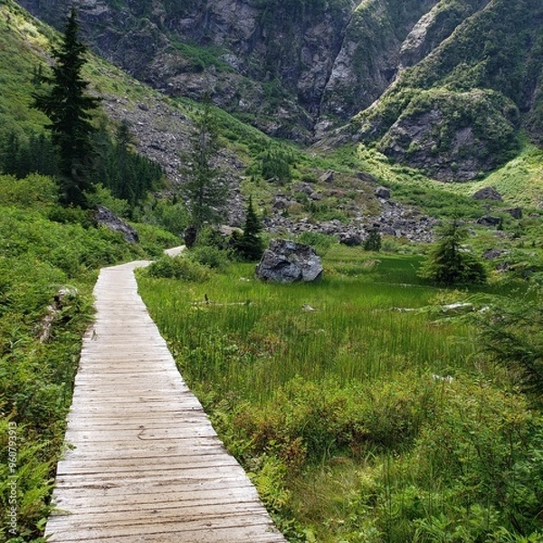 Obraz path in the mountains