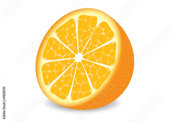 Obraz Orange