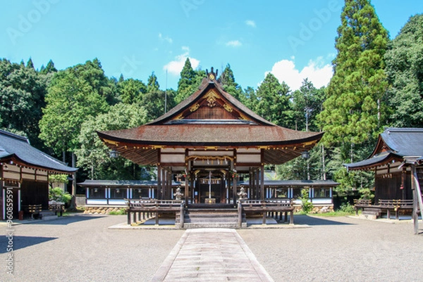 Fototapeta 大鳥神社
