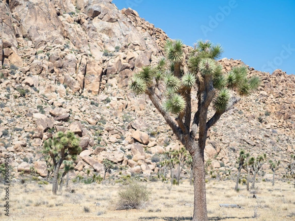 Obraz OLYMPUS DIGITAL CAMERA