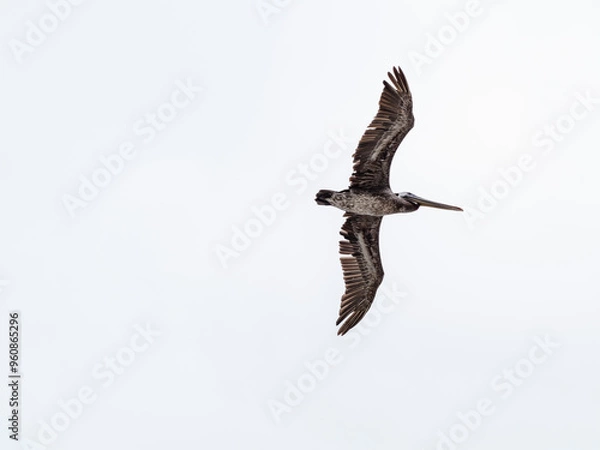 Obraz OLYMPUS DIGITAL CAMERA