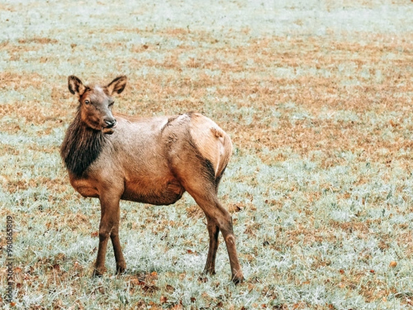 Obraz OLYMPUS DIGITAL CAMERA