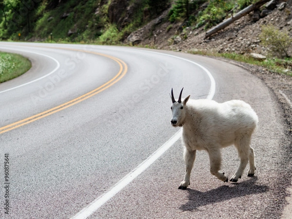 Obraz OLYMPUS DIGITAL CAMERA