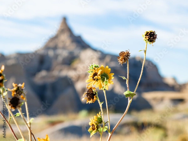 Obraz OLYMPUS DIGITAL CAMERA