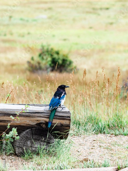 Obraz OLYMPUS DIGITAL CAMERA