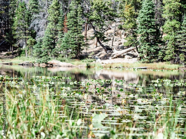 Obraz OLYMPUS DIGITAL CAMERA